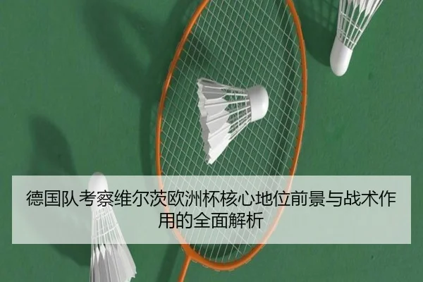 德国队考察维尔茨欧洲杯核心地位前景与战术作用的全面解析